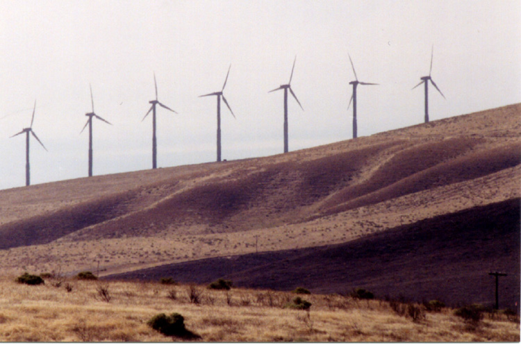 11-294 Foot Windmills West of Walla Walla